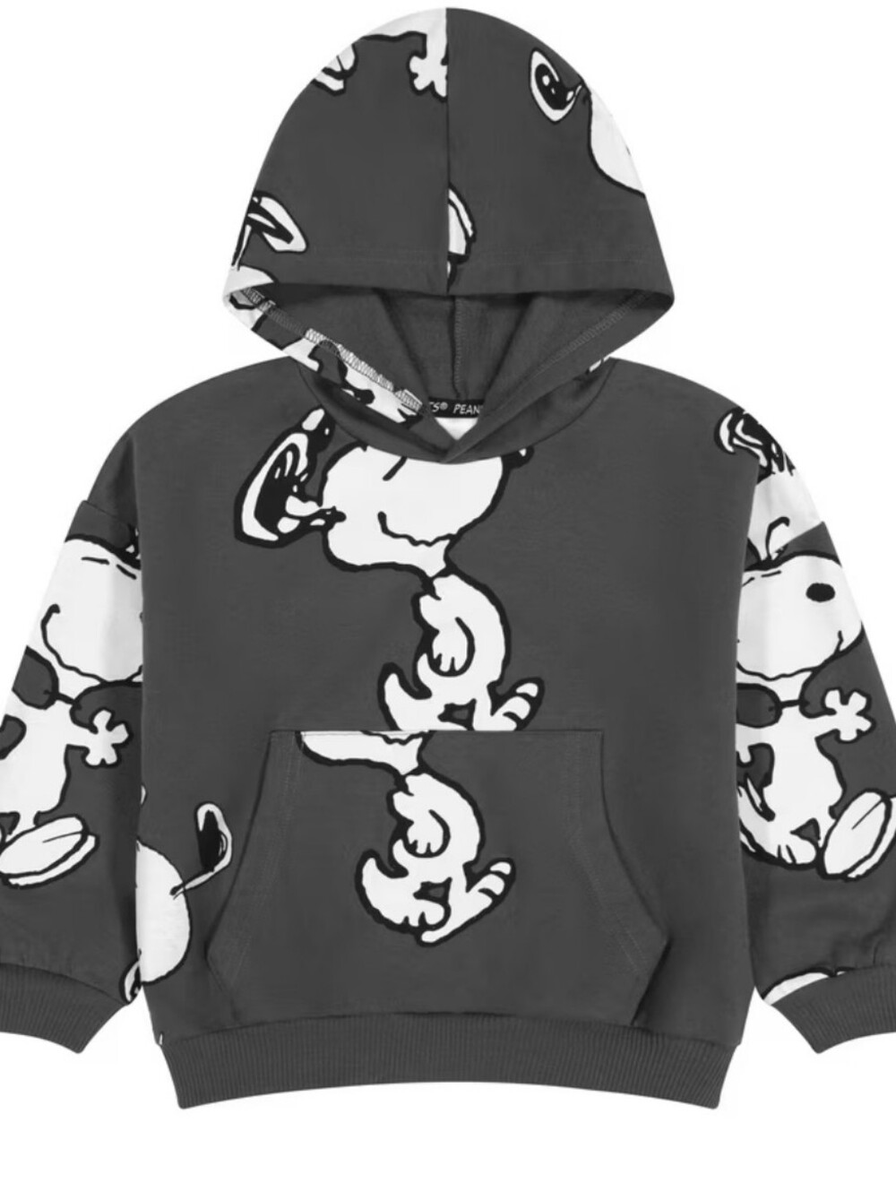 Kids Charcoal Snoopy Graphic Hoodie